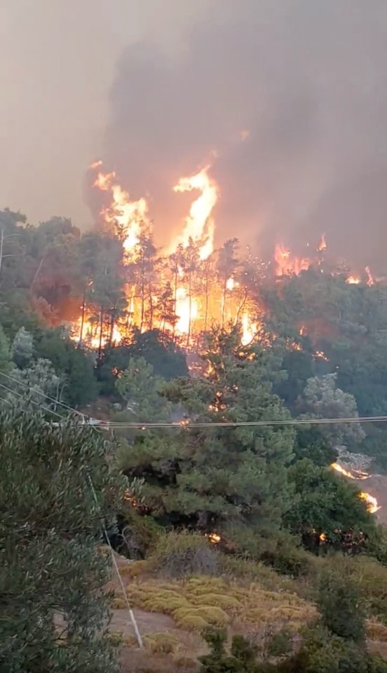 The fire ripped through a pine forest near the centre of the island