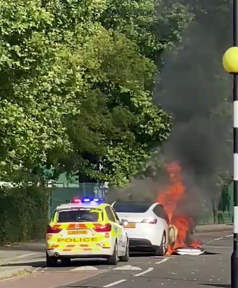 The cause of the fire is not clear but the electric car is thought to have 'self-combusted'