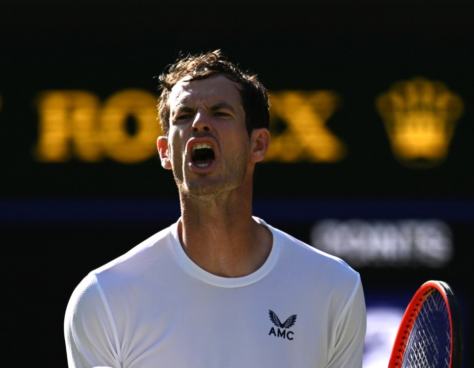 Murray's serve let him down on a frustrating afternoon on Centre Court