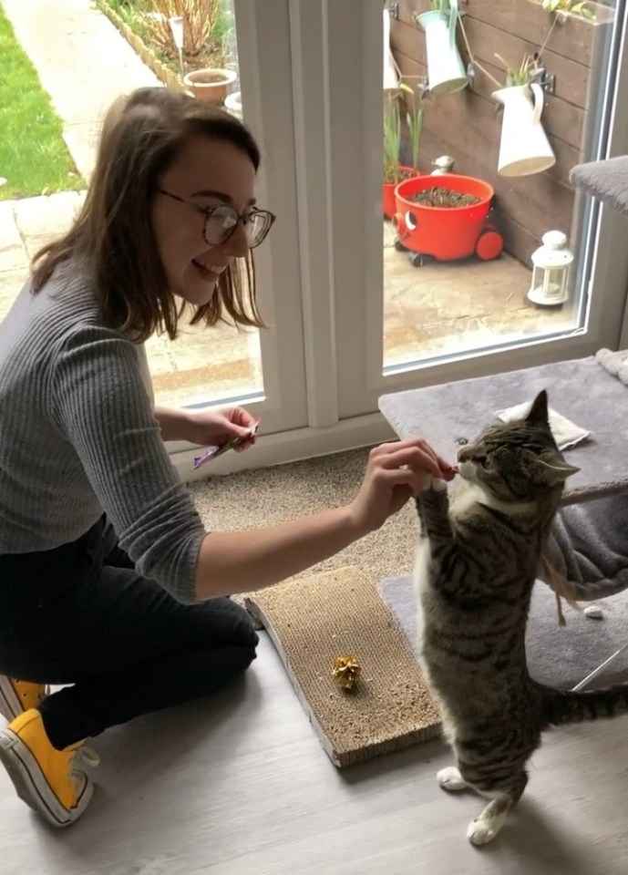 Becca has been cat sitting using the Cat in a Flat app since 2017