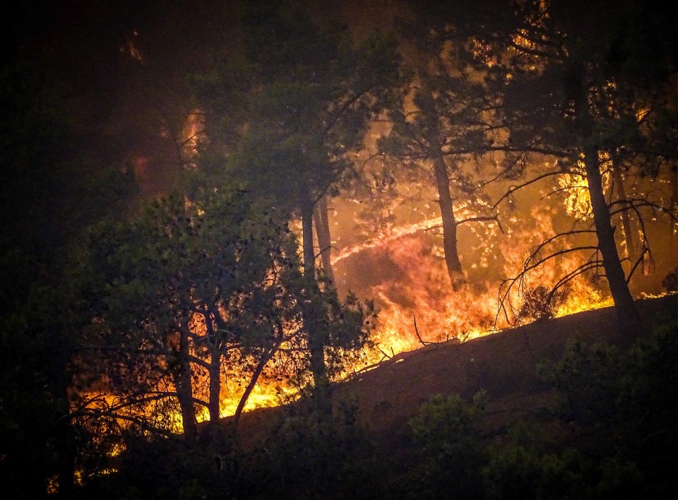 Thousands of tourists are stranded in Rhodes due to wildfires raging the Greek island