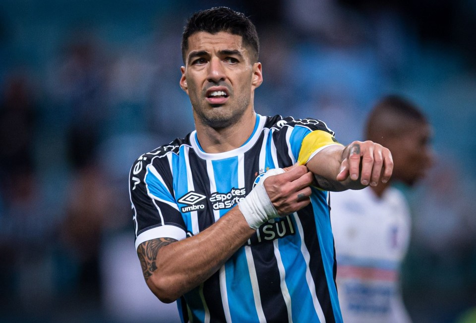 Luis Suarez is plying his trade for Gremio in Brazil