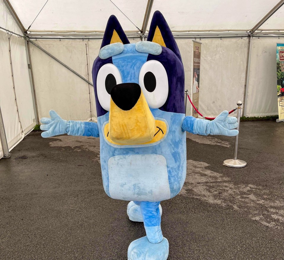 Children were left in tears after being denied a meeting with cartoon character Bluey