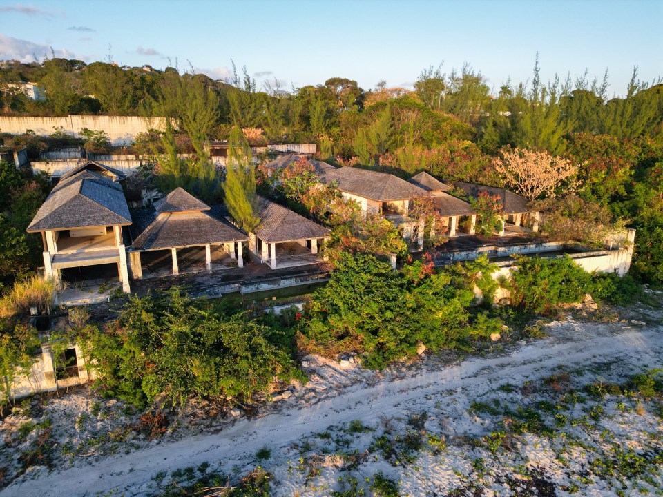 The ruins have been reclaimed by nature and monkeys roam the site