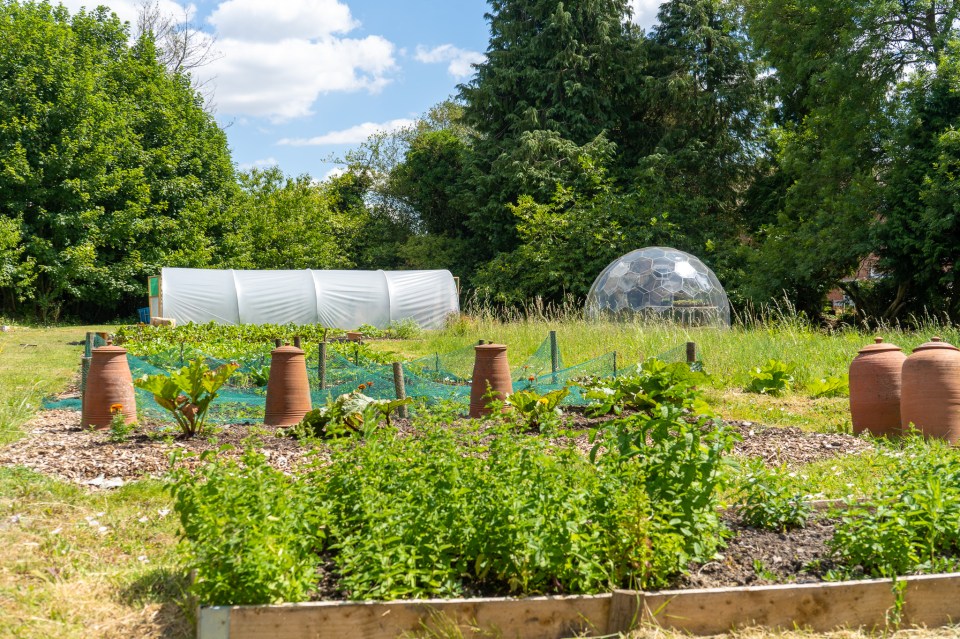 The 30 acres of land are great for adventurous little ones