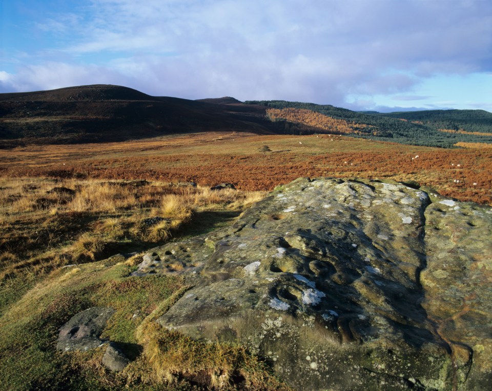 Queen guitarist is looking at buying 9,486-acres of Northumberland countryside