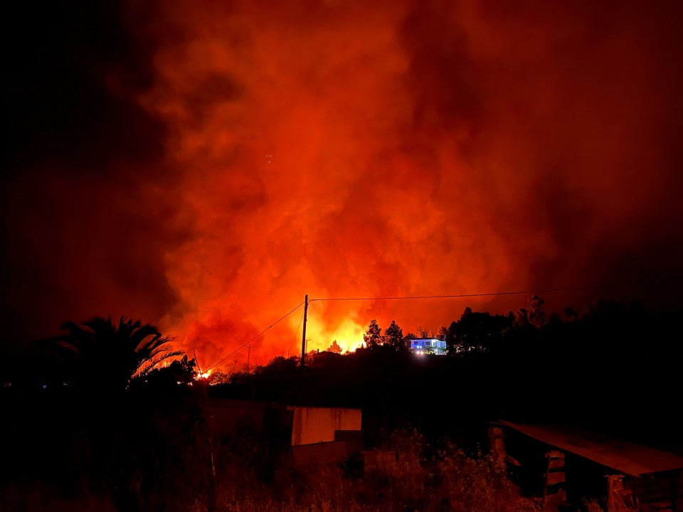 Flames filled the sky after the wildfire broke out in a wooded area