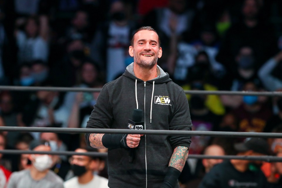 Miro wants to face AEW superstar CM Punk to see "what the whole fuss is about"