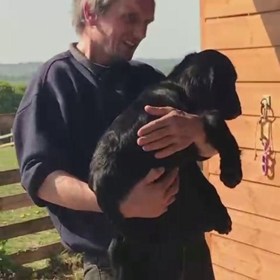 Paul Egginton was with his dog Cove after he came into contact with the algae