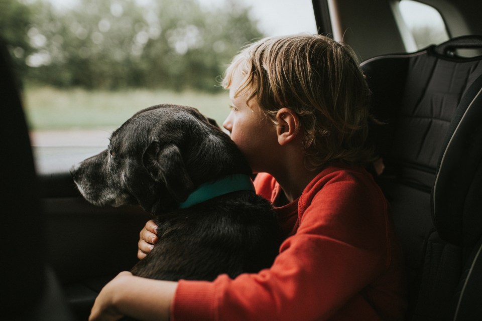 Cops have shared an urgent warning over why you should never let your kids hug a dog