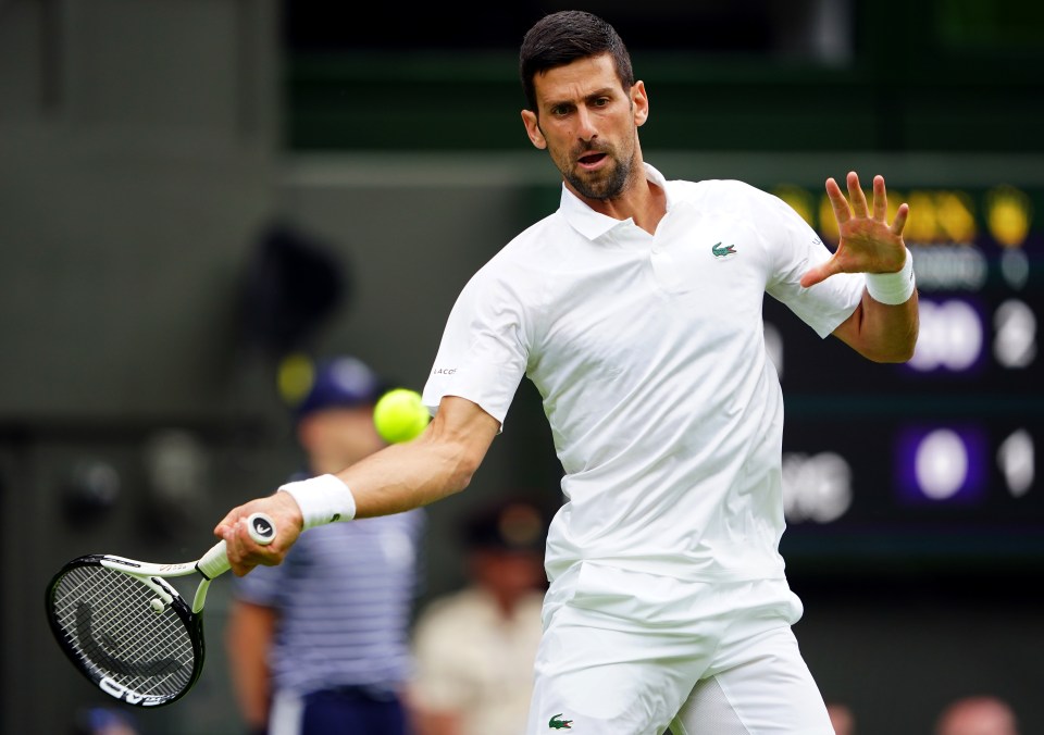 Fans reported being unable to watch the start of Novak Djokovic's title defence