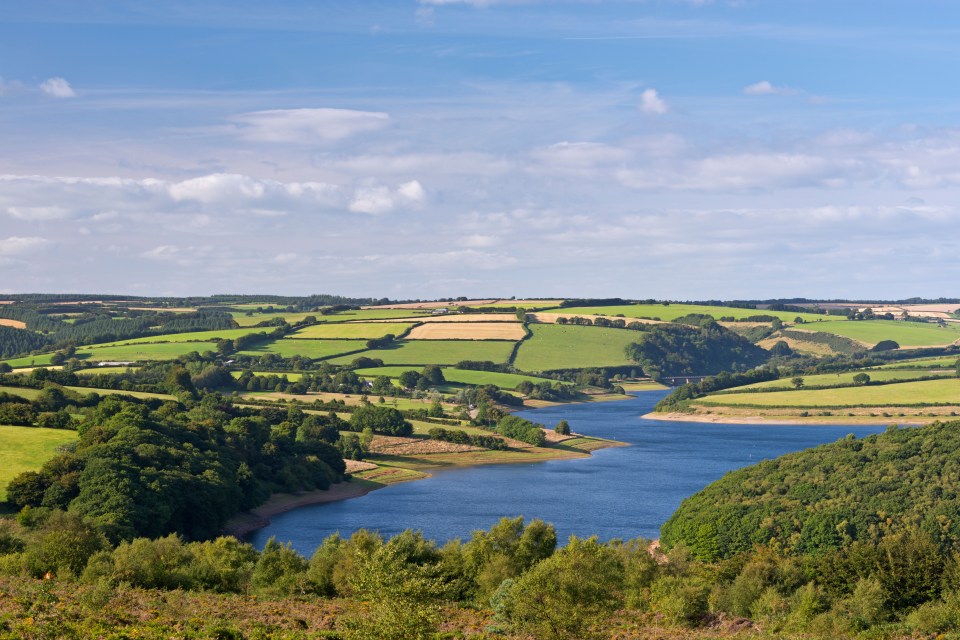 The pooch died after a visit to Wimbleball Lake in Exmoor National Park