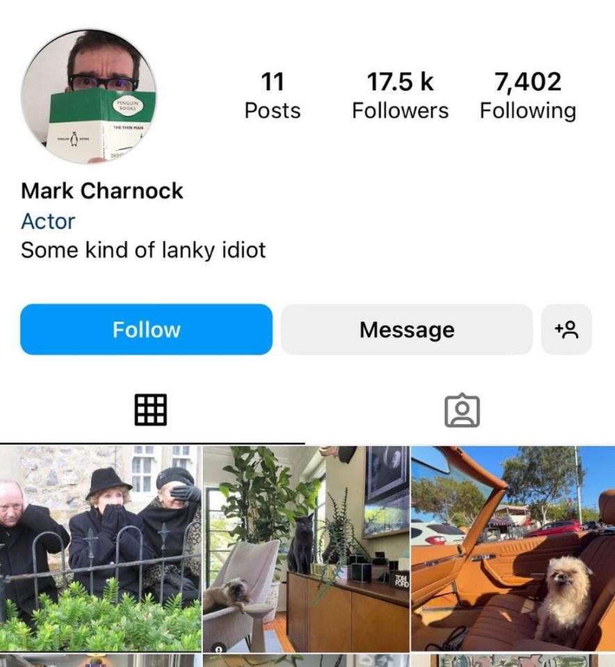 The catfish used the same bio as the one Mark has on his official account: “Some kind of lanky idiot”