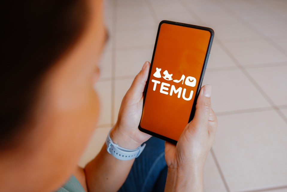 Temu launched in 2022 in the US before making its way across the pond