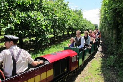 Brogdale Farm is home to a miniature railway