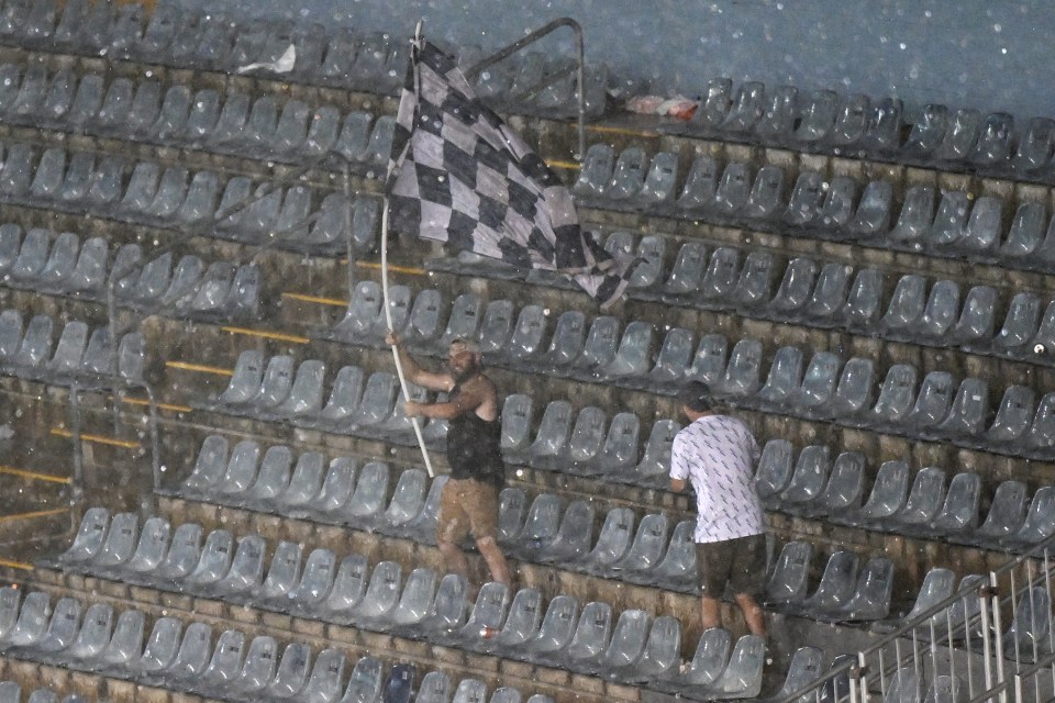 A fan waves a flag despite being urged to retreat to the concourse