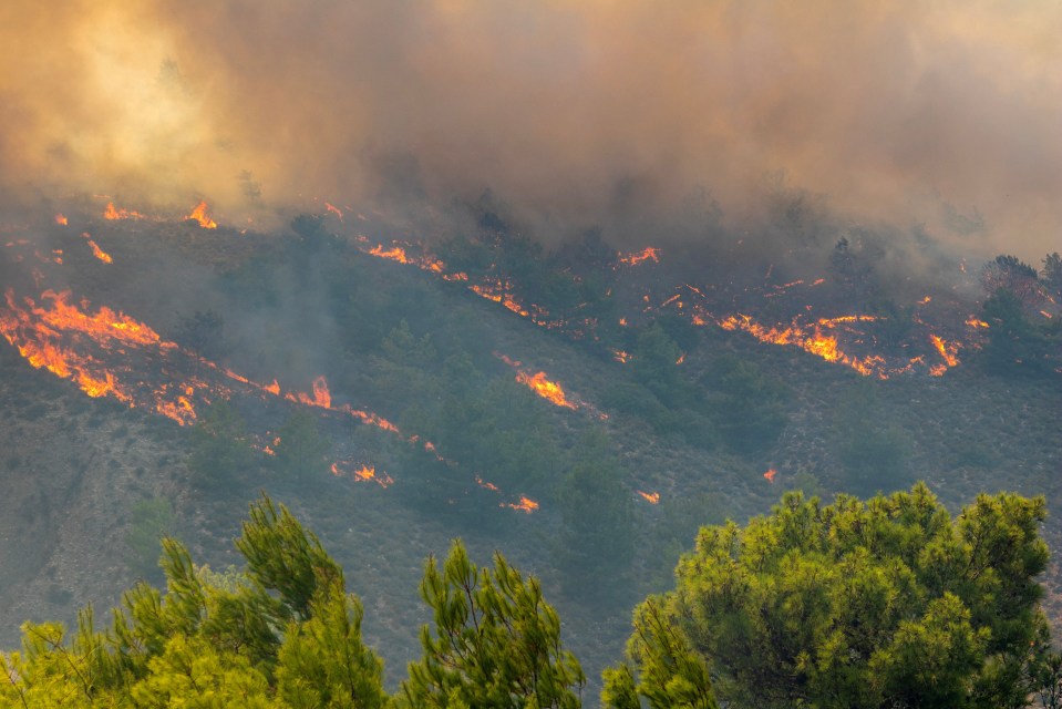 Wildfires continue to spread across Rhodes after seven days