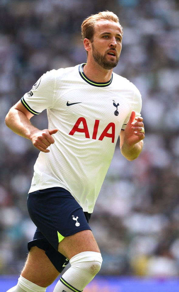 Gus Poyet insists Tottenham star Harry Kane should follow his heart when deciding his future