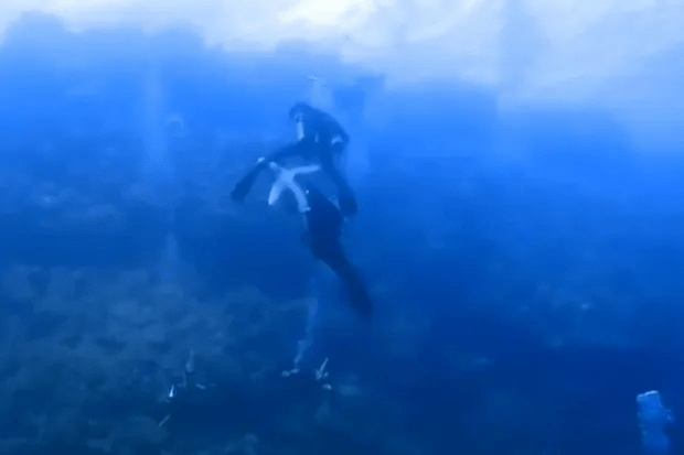 The horrifying moment the shark got hold of the diver’s leg