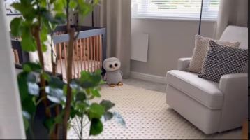 The space looks very cosy with indoor plants and a big rug