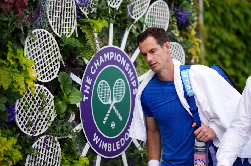 Andy Murray is hoping to win at Wimbledon again this year