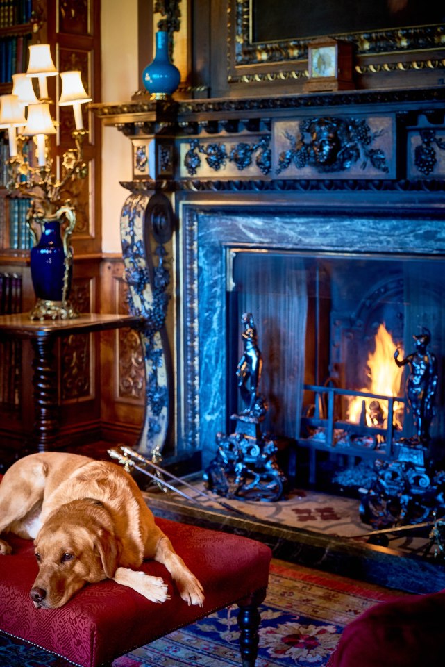 And there's a cosy fire for Lady C to relax in front of