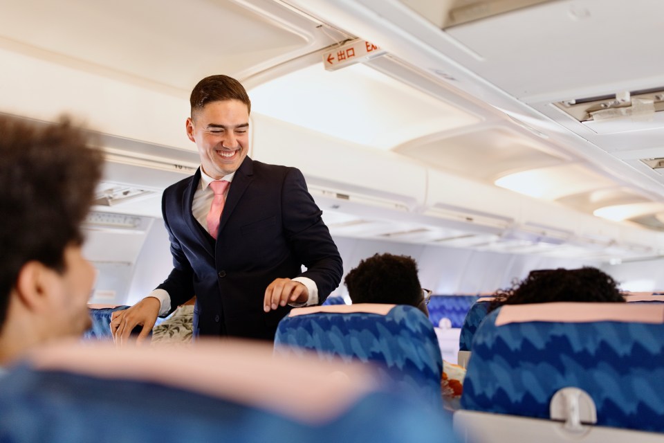 Turbulence even gives crew a break, as they aren't able to serve passengers during it (stock image)