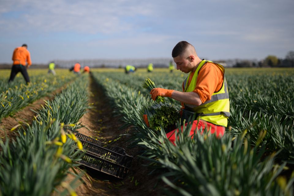 Business leaders want to hire Brits from disadvantaged backgrounds rather than take on new workers from abroad, according to a new poll