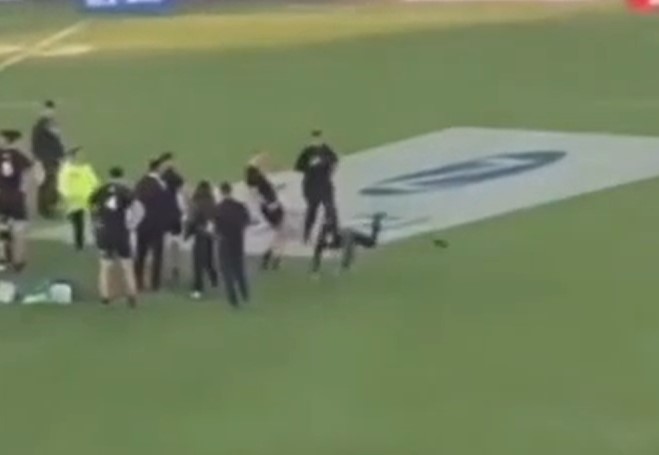 Cane swiped at the pitch invader and knocked him to the floor with a kick