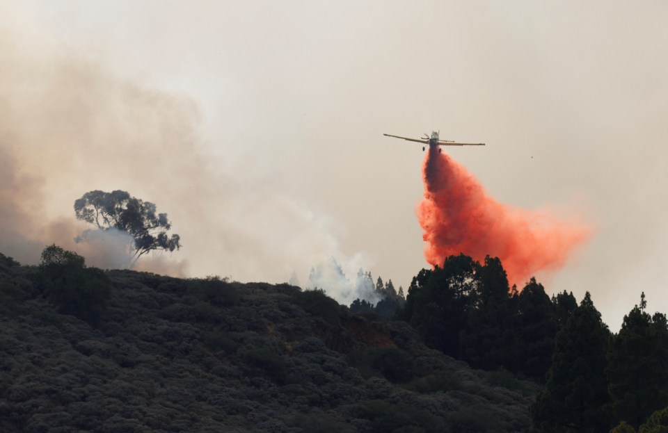 Planes were deployed in a bid to combat the fires