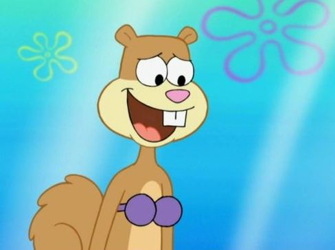 Sandy Cheeks from Spongebob Squarepants is Mitch's celebrity crush