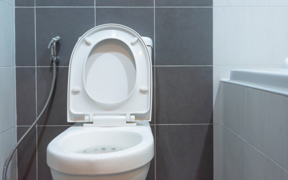 It turns out there's a different way to use toilet cleaning blocks