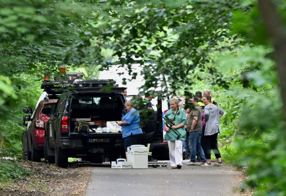 Vets with tranquilliser guns were also involved in the hunt