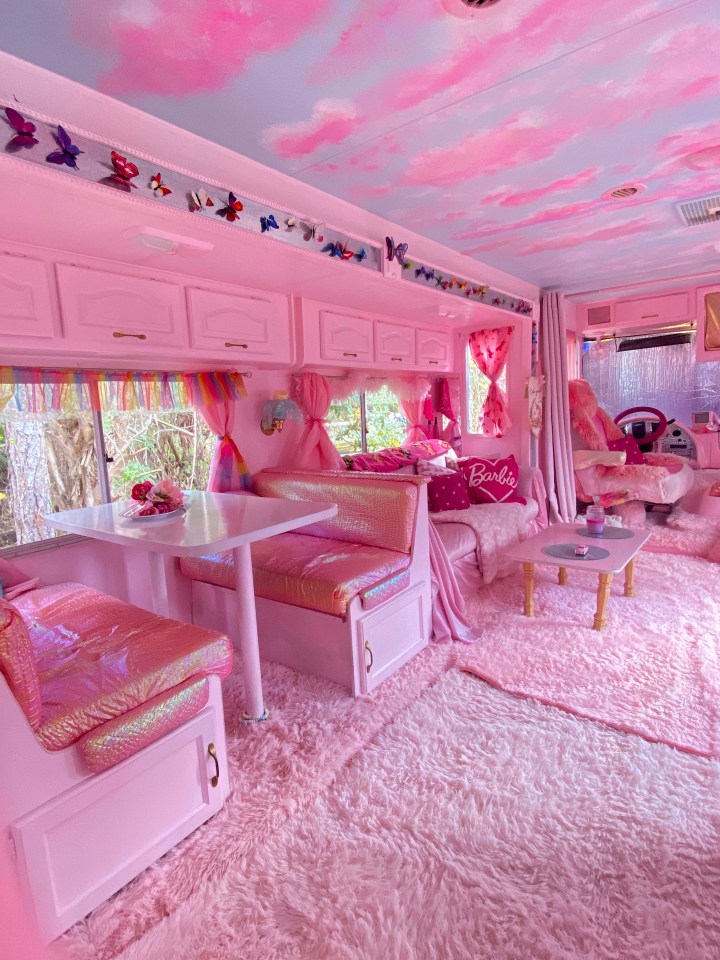 The spacious van is decked out with thick rugs and of course an abundance of pink