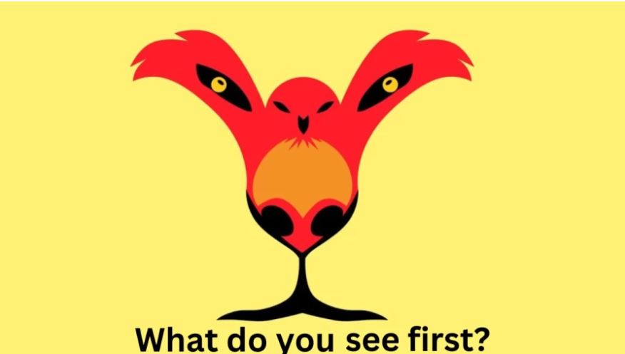 What do you see first? A lion or a bird?