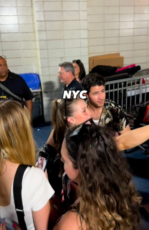 She was seen taking a selfie with Nick Jonas at the gig