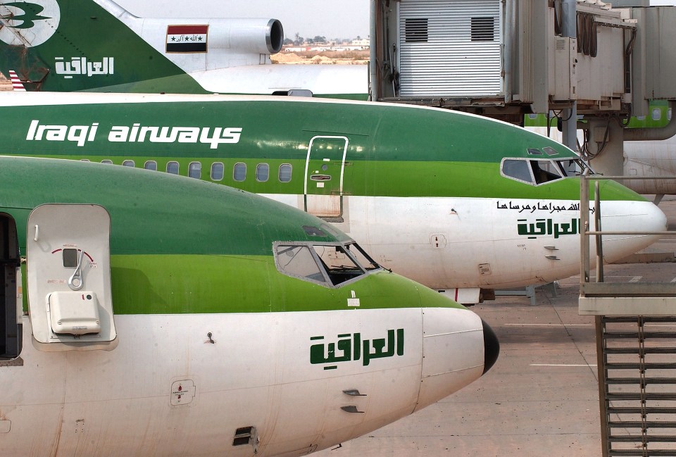 Iraqi Airlines insists it was not to blame for the animal's escape