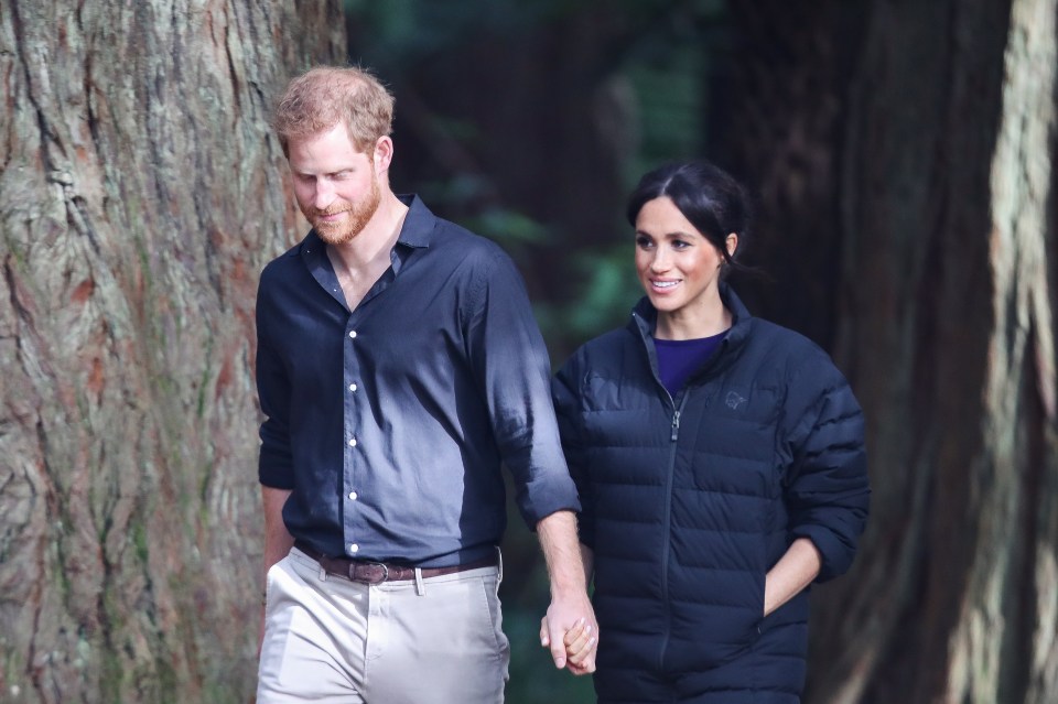  Meghan Markle and Prince Harry have been together since 2016