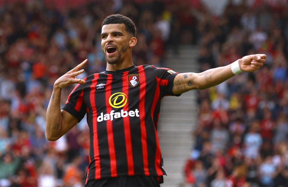 Dominc Solanke earned Bournemouth a point with his equaliser against West Ham