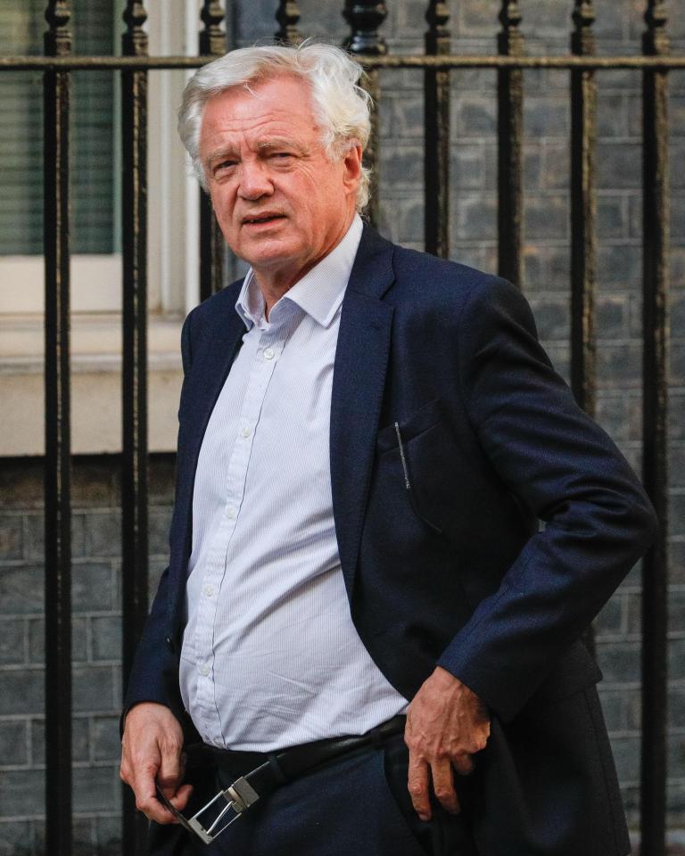 David Davis said: 'The public will expect the appropriate people to take action as a matter of extreme urgency'