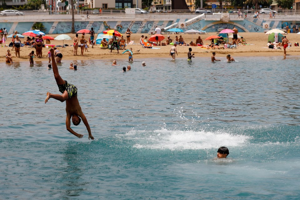 The shark was said to be within close proximity to people swimming in the sea