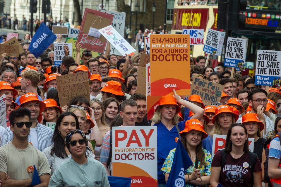 Striking junior doctors have been accused of wanting to 'bring down the Government' instead of caring about patients