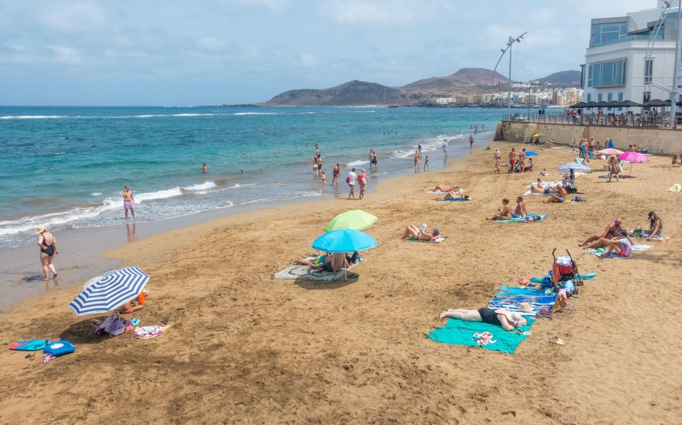 Las Canteras beach in Las Palmas, Gran Canaria, was visited by a hammerhead shark