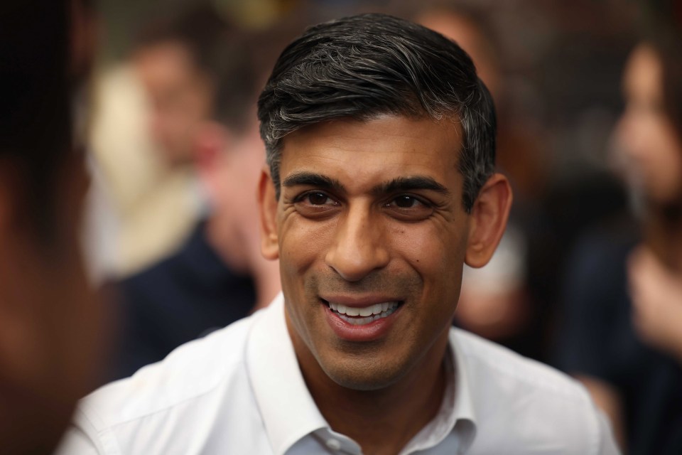 If Rishi Sunak put brakes on net zero, it could see him back on the road to election victory