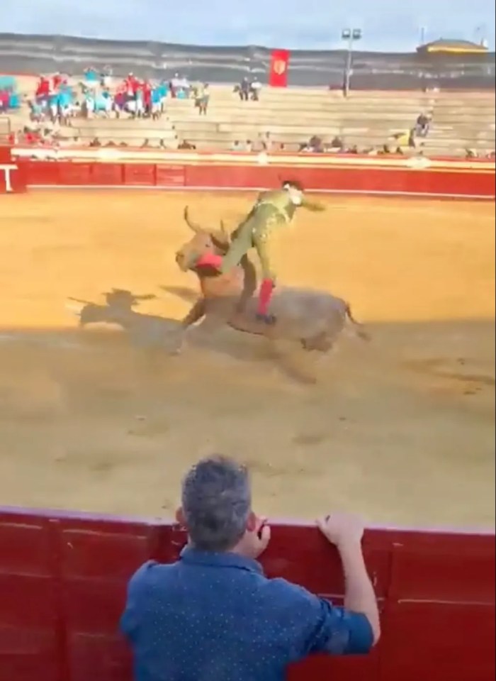 Alejandro Conquero was gored in the rectum by the rampaging bull