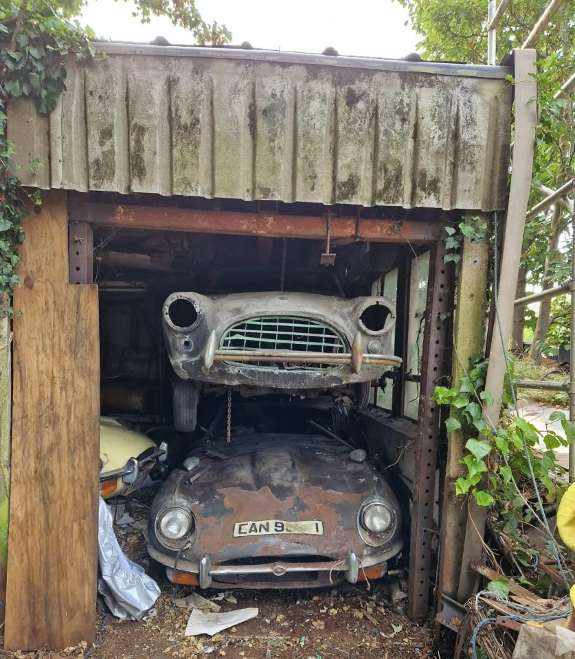 They were found last month after sitting in a barn for more than 50 years