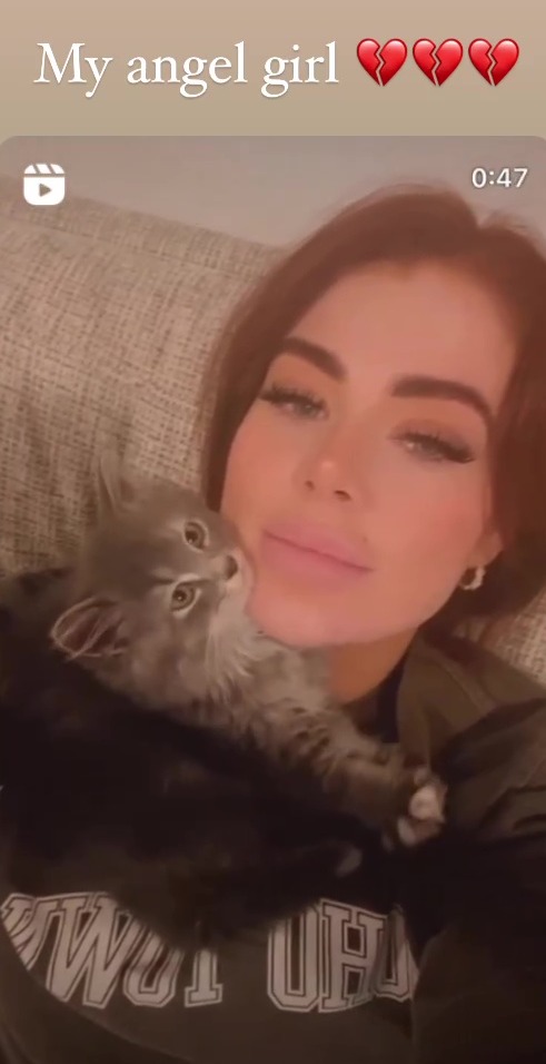 Jess Hayes has been left devastated by the death of her pet cat