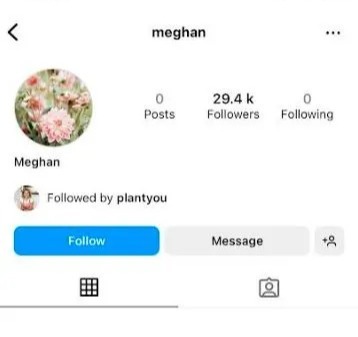 A cryptic profile has appeared on Instagram