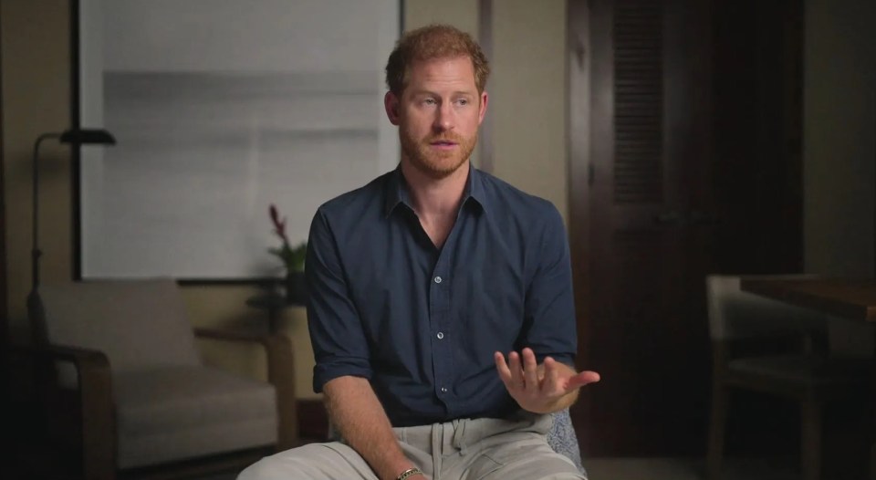 Prince Harry said he had 'no support system' in his new Netflix doc