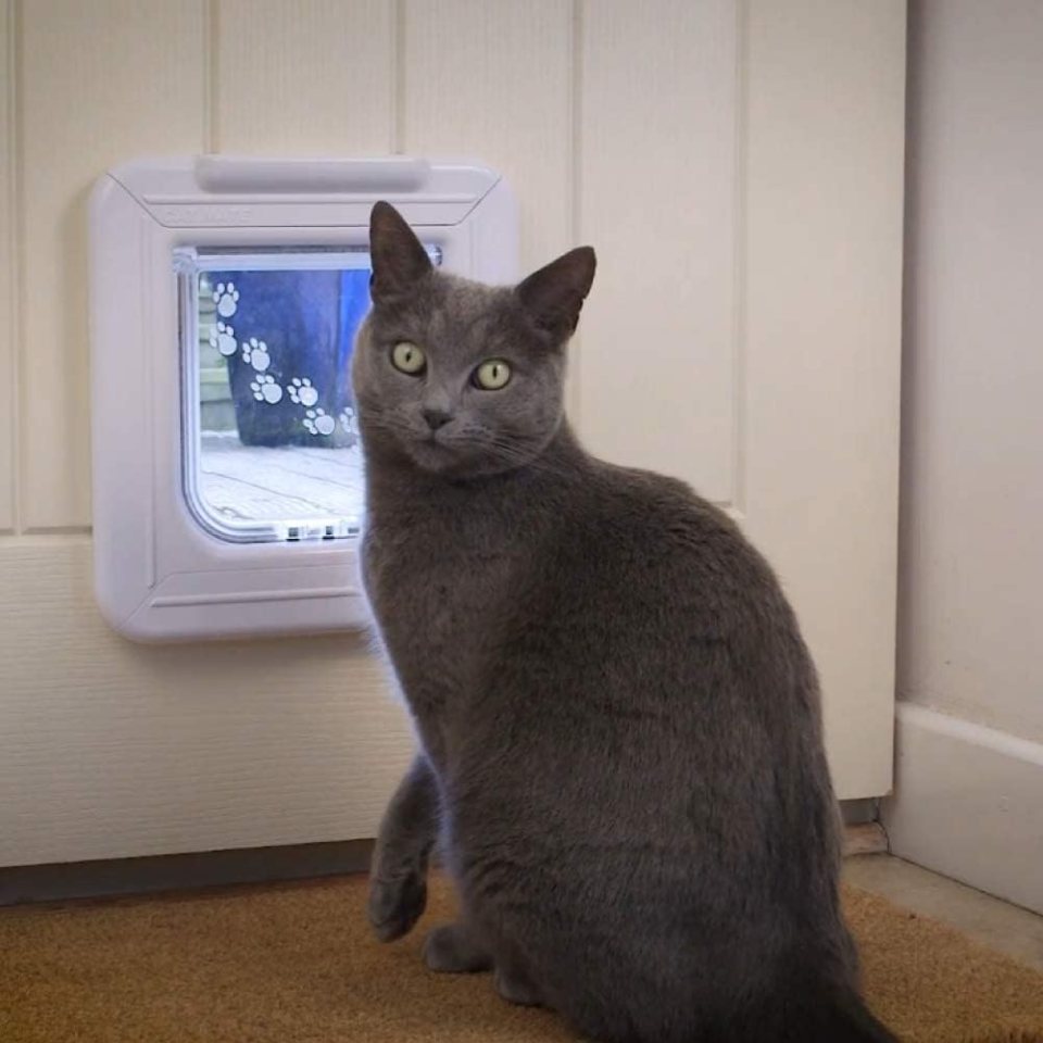 Cat Mate Elite Microchip Cat Flap With Digital Timer